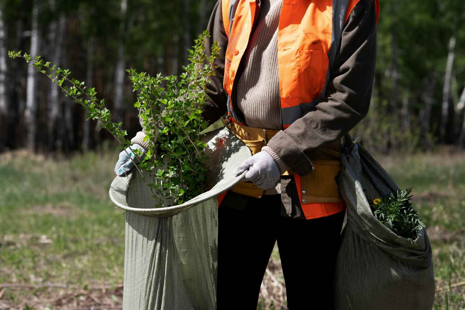 Reliable Hermitage, PA Tree Service Solutions